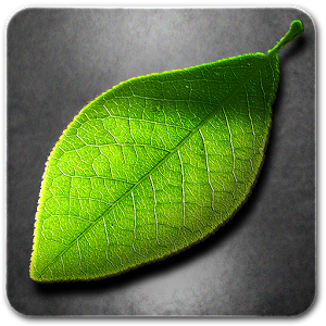 Fresh Leaves v1.8