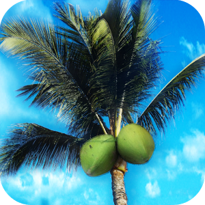 Escape: Castaway v1.3