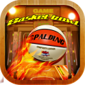 SKEE BASKET BALL PRO v1.1