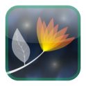 Night Flowers v1.3