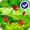 Colorful Ladybug Garden LWP v1.0