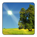 True Weather LWP v6.01