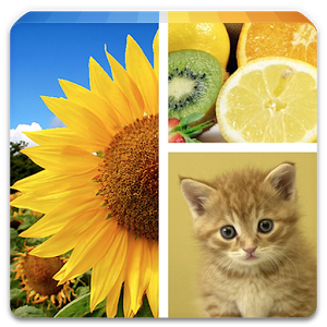 Photo Collage Editor v1.19