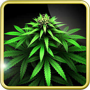 My Ganja Plant Live Wallpaper v1.0.2