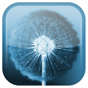 Dandelion Live Wallpaper v1.5.6