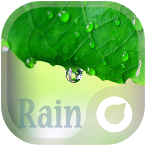 Rain - Solo Theme v1.0