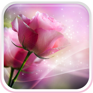 Pink Roses Live Wallpaper v2.0